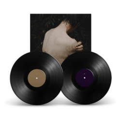 Artifacts アナログ 2LP Artifacts アナログ 2LP