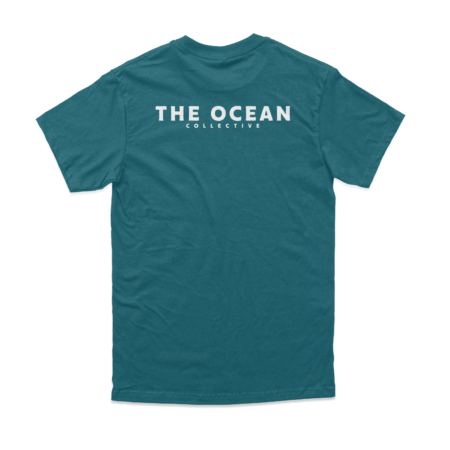 THE OCEAN - 