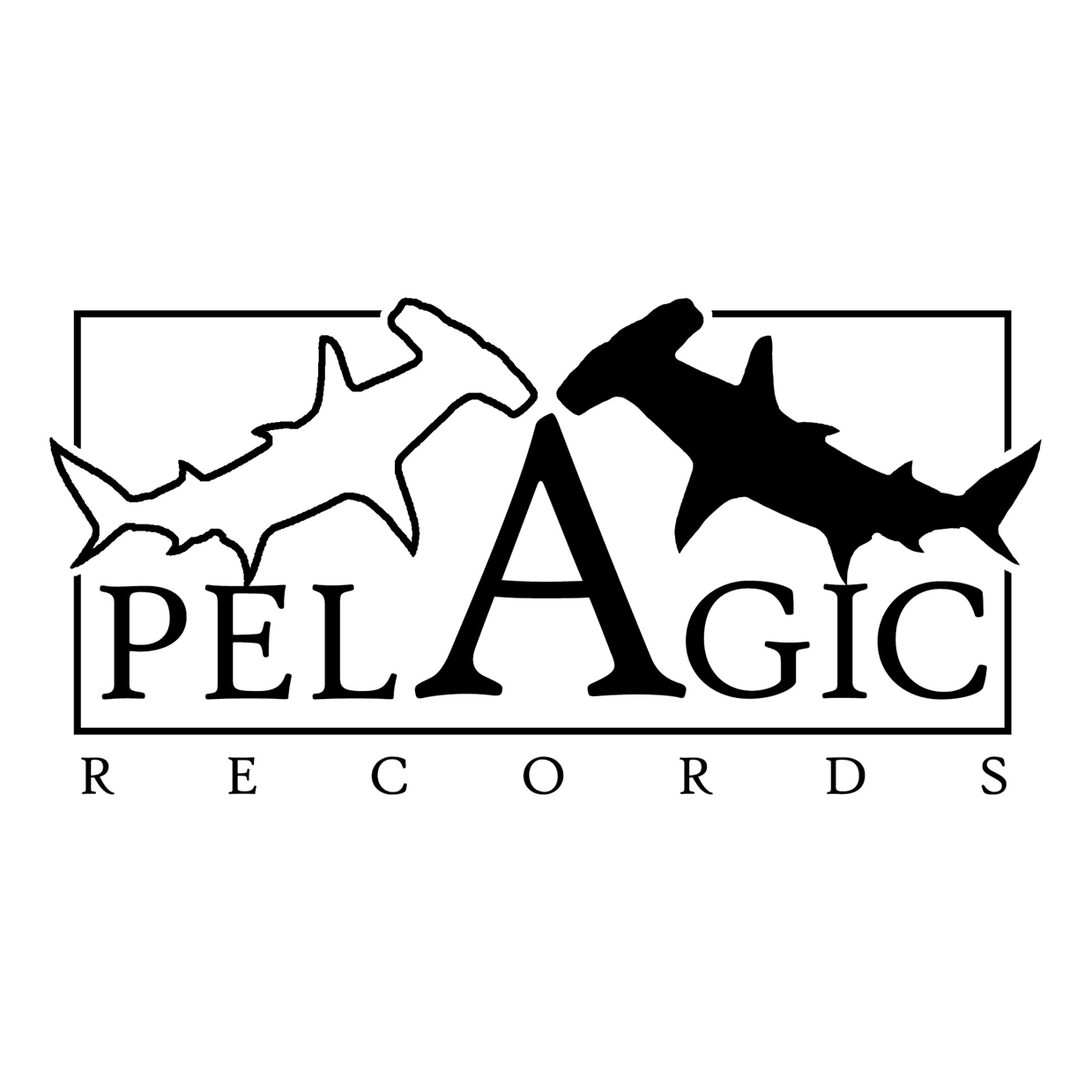 pelagic_records