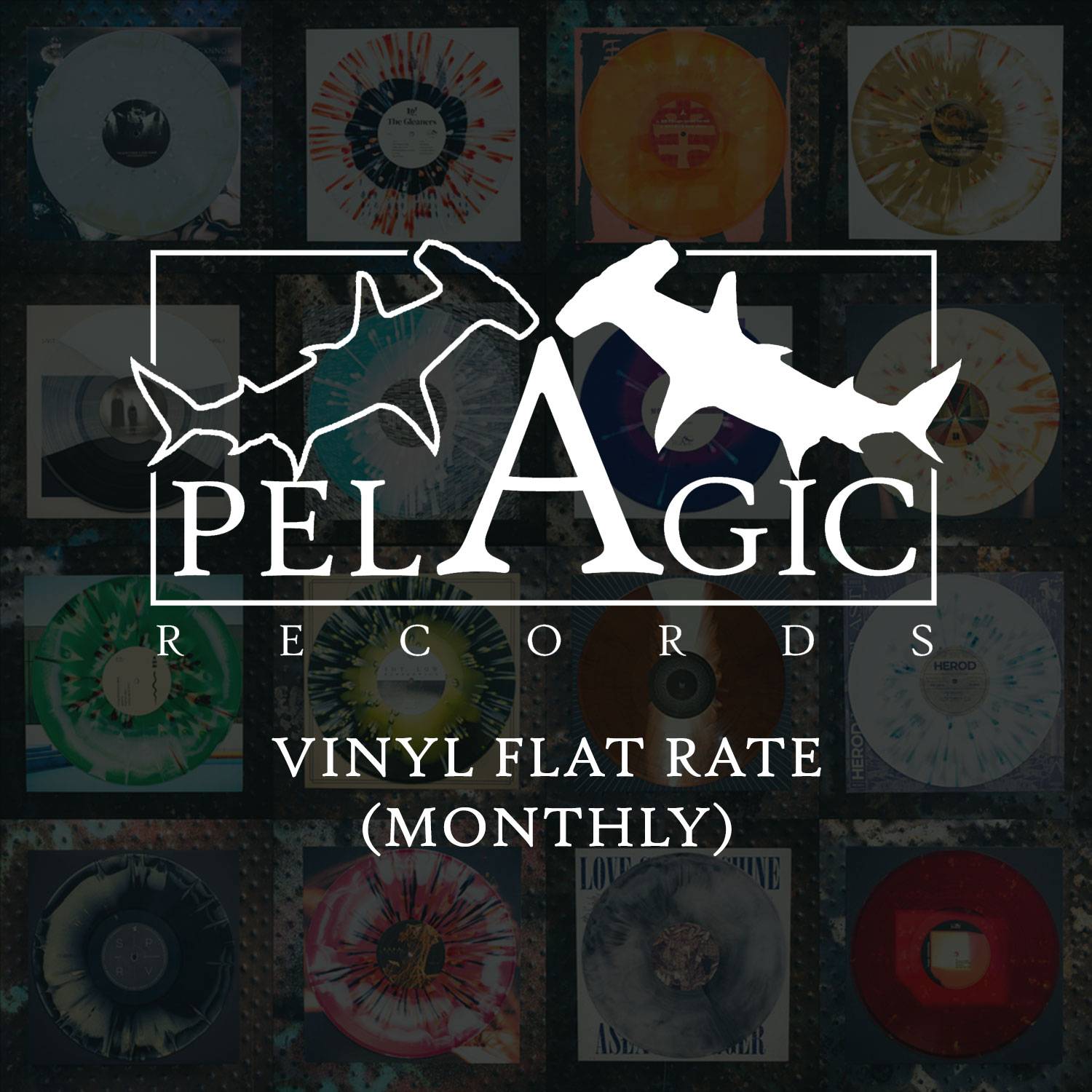 Platine vinyle DJ Pas de marque VBESTLIFE Pince Plaque LP Disc