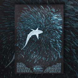 PELAGIC RECORDS - "Humble In Triumph" Screen Print