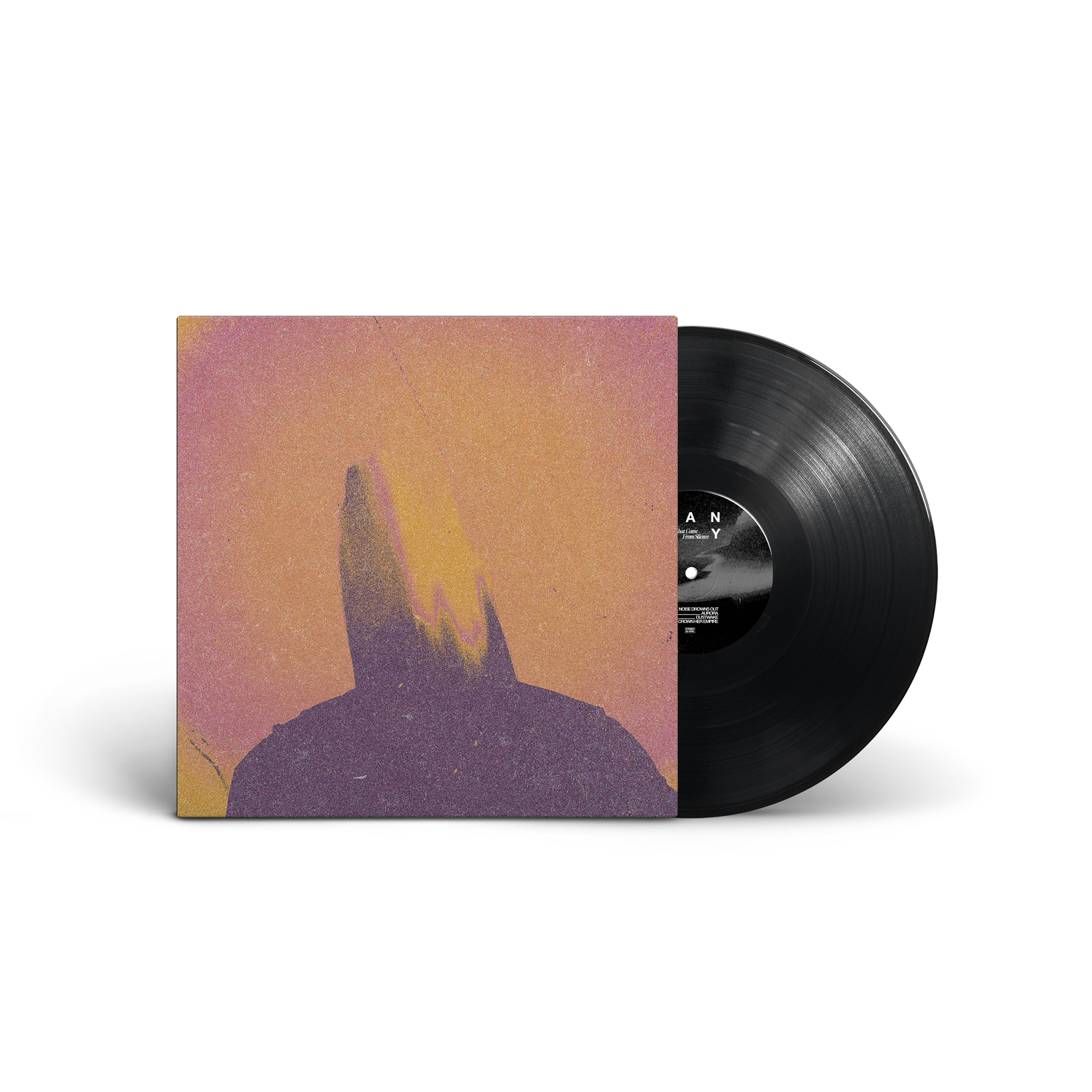 HANRY - “What Came From Silence” LP (gatefold) - Image 2