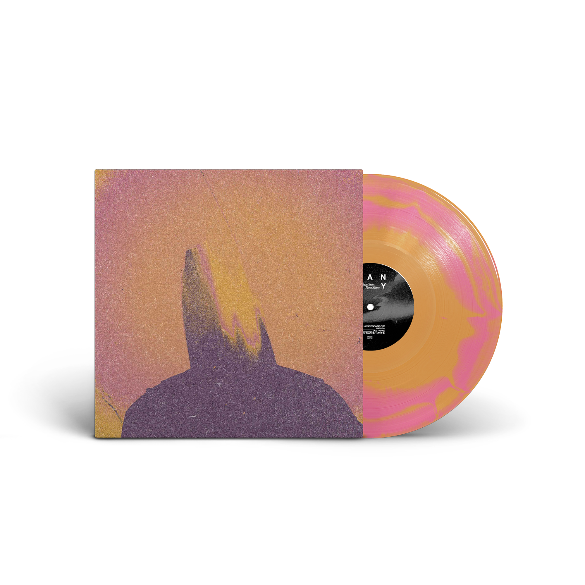 HANRY - “What Came From Silence” LP (gatefold) - Image 3