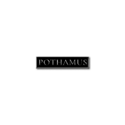 POTHAMUS - "Logo" Pin