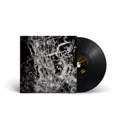 BRUIT - 