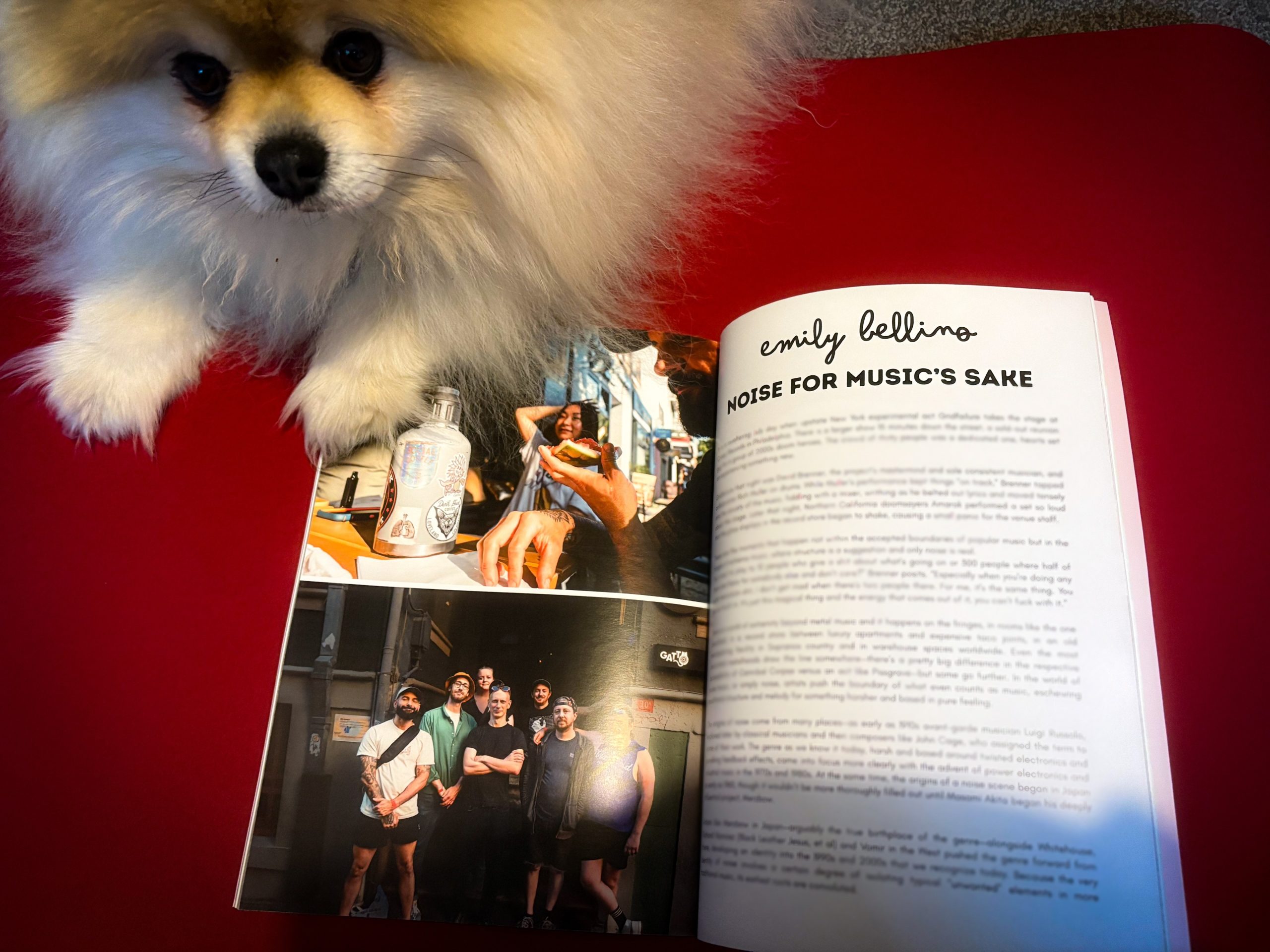 "Slowpoke" Zine by Becky Laverty - Image 3