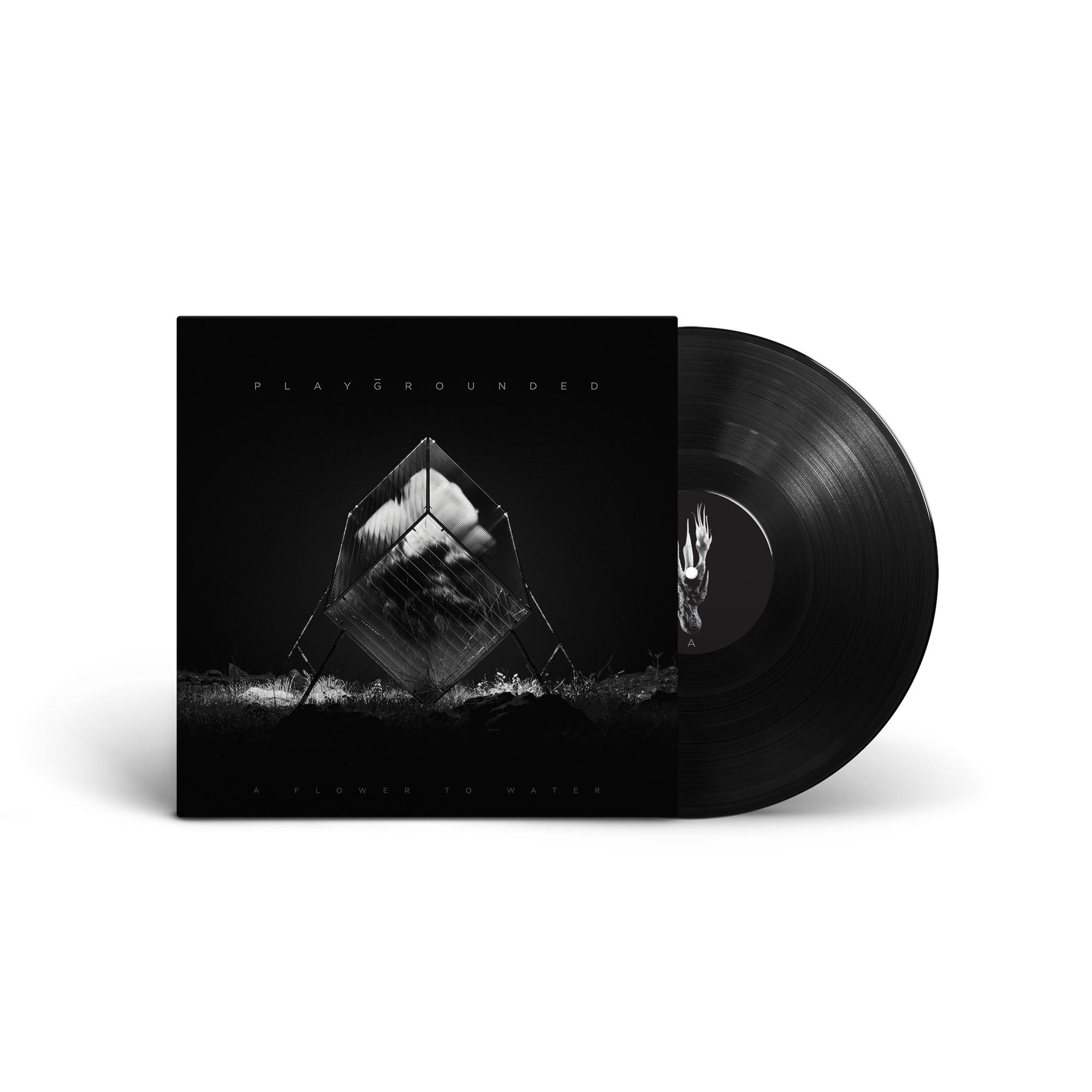 PLAYGROUNDED - “A Flower To Water” LP (gatefold) - Image 5