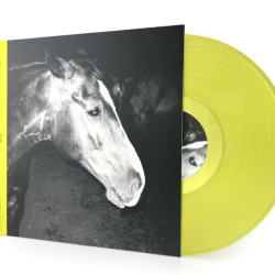 KOKOMO - "Whip" LP
