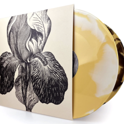 A SWARM OF THE SUN - "Live At Dunk!Fest 2025" 2LP